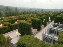 济南公墓一对一购墓顾问：专业解答祭祀习俗疑问 