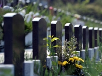 实地探访济南双峰山陵园：泰山余脉下的高性价比安息福地