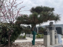 济南恭德陵园风水好不好？恭德陵园风水介绍