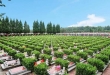 济南市中区皇上岭公墓怎么样？合法吗？皇上岭公墓电话号码是多少？