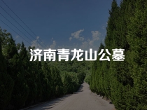 济南青龙山公墓具体在什么位置环境风水怎么样官方咨询电话【青龙山公墓官网】