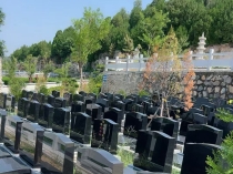 公益性公墓的管理