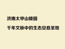 济南太甲山陵园：千年文脉中的生态安息圣地