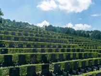 济南公墓网预约选墓的流程