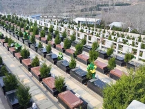 官山陵园环境怎么样？合法吗？咨询电话是多少（济南官山陵园详细解读）