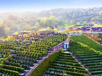 济南墓地一般多少钱一块