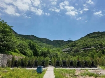 济南太甲山陵园怎么样？园区详细介绍