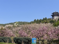 济南恭德陵园墓地参考售价，有哪些墓位值得推荐？