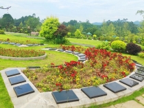 办理生态葬注意事项