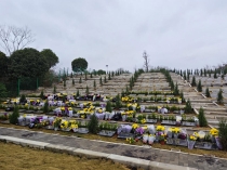 济南购买墓地费用明细