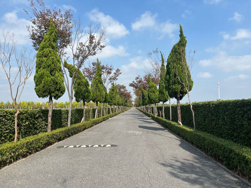 选择墓地的风水要点解析