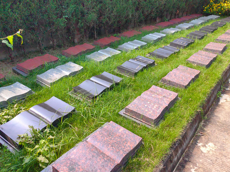 注意风险提示与防范措施 注意风险提示与防范措施