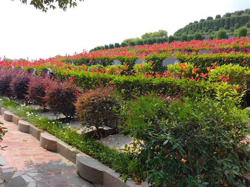 文化氛围与审美:环境是否庄重大气、富有人文情怀 文化氛围与审美:环境是否庄重大气、富有人文情怀