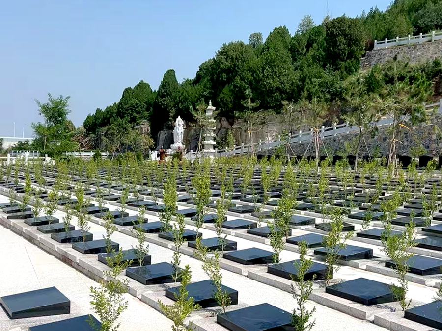 公益性公墓的管理