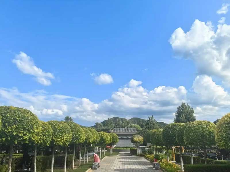 济南墓地类型性价比较高如何选择