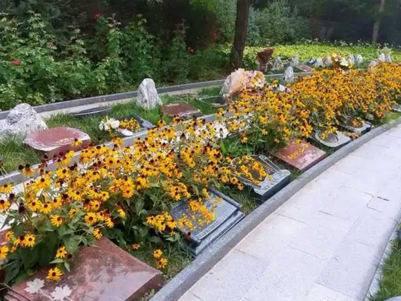 节地生态葬 节地生态葬