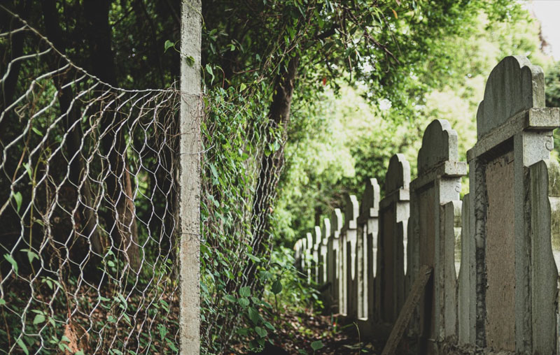 坟前栽三树，子孙得福荫