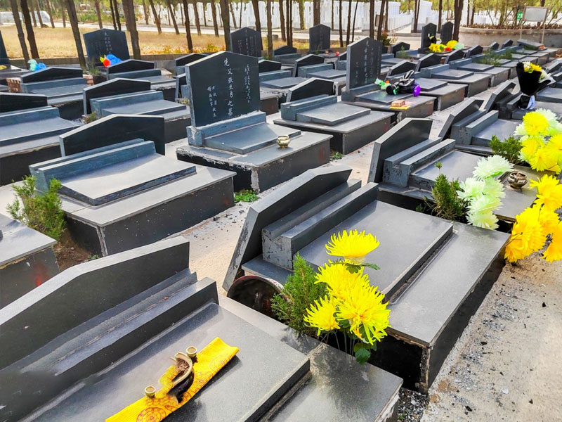 后续管理与服务便利