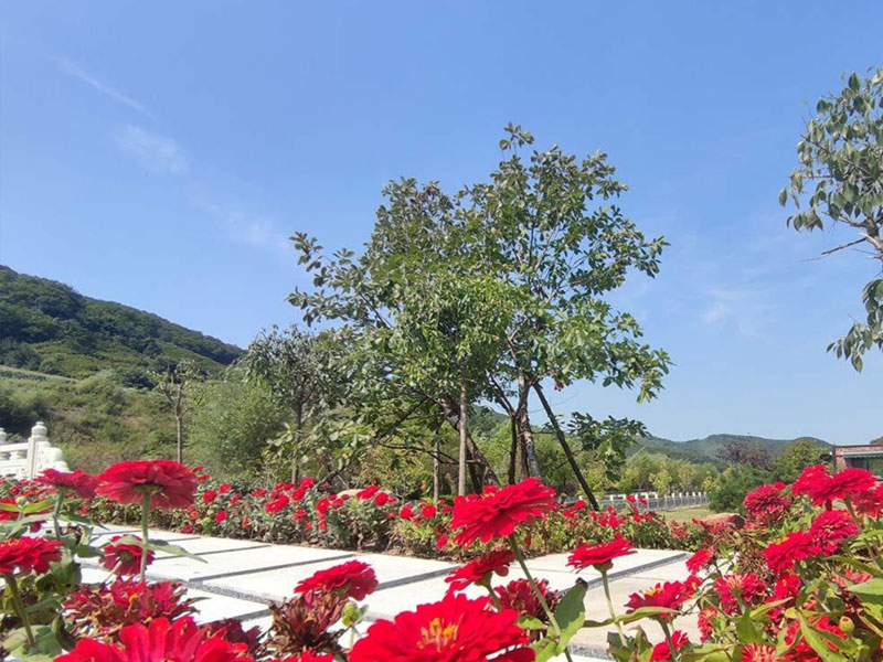 明确价格构成(避开隐形消费).jpg 明确价格构成(避开隐形消费).jpg