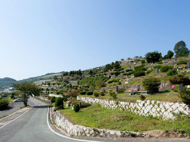 告别“天价墓”，清单化管理成为标配