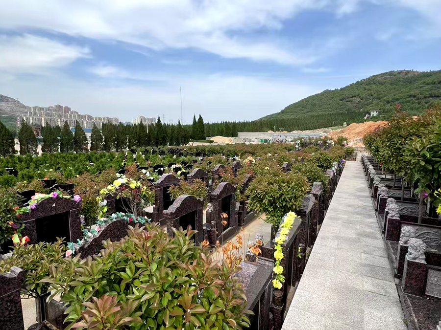 墓型多样，价格亲民