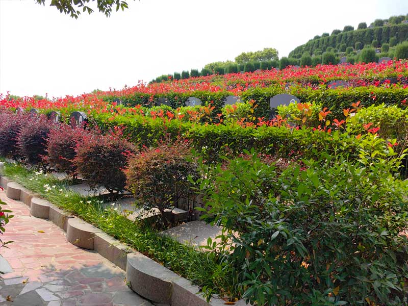 官山陵园 官山陵园