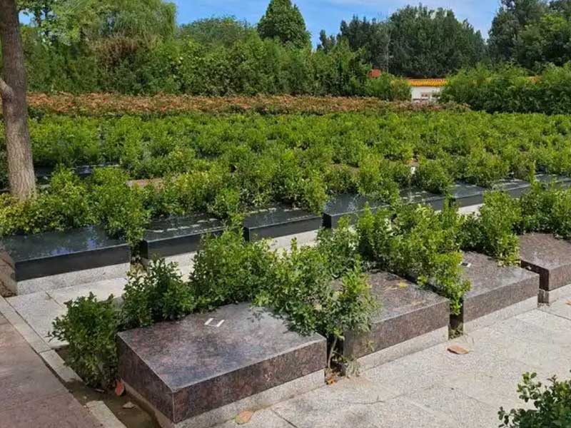 济南殡葬改革新趋势