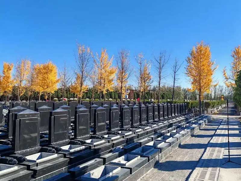 文明祭扫，传承孝道文化