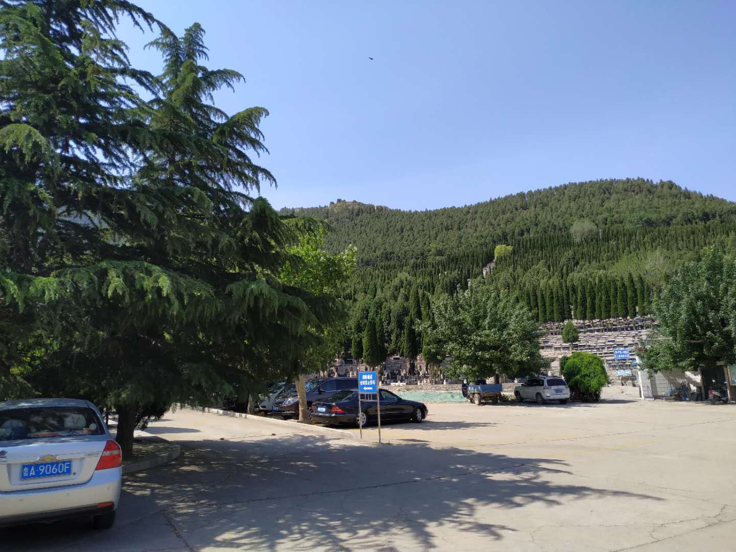 服务与2026年最新动态