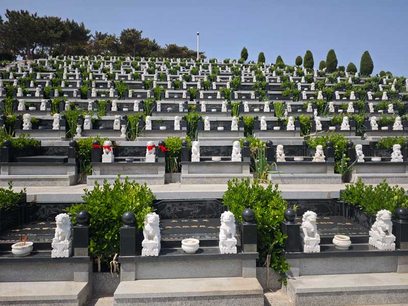 为什么价格差距这么大