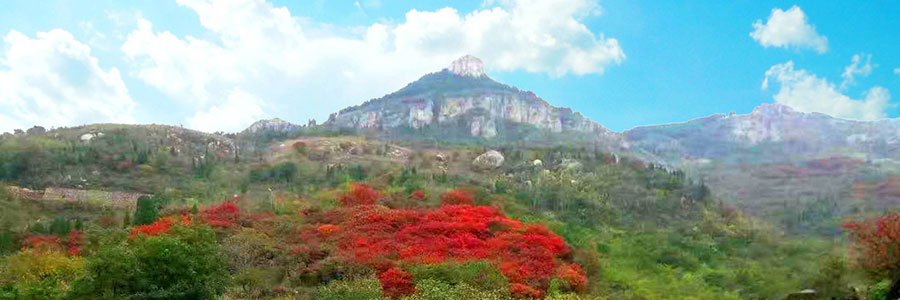 太甲山陵园