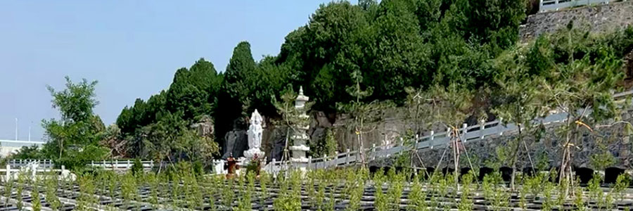 青龙山公墓
