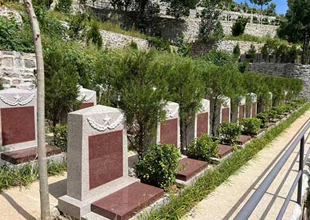 园区环境：园林艺术，静谧庄严