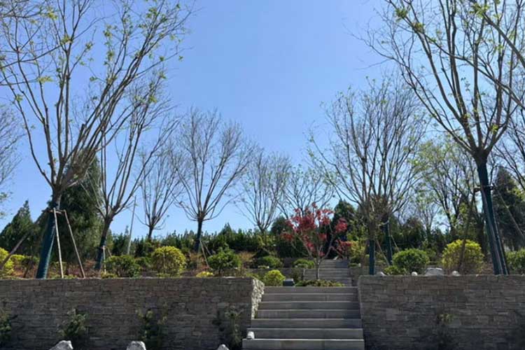 济南多子山陵园