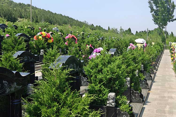 双峰山陵园
