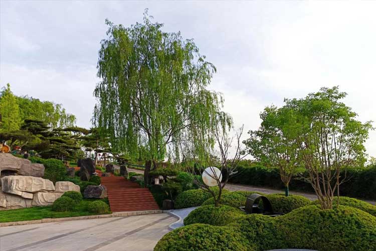 恭德陵园寿南山