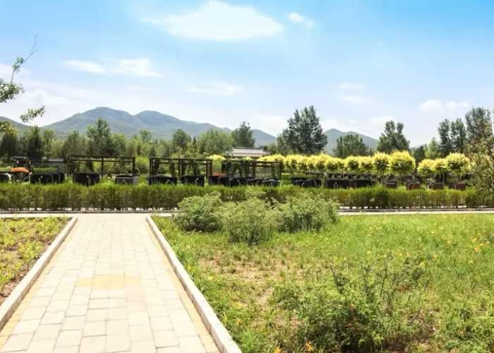 玉顶山陵园
