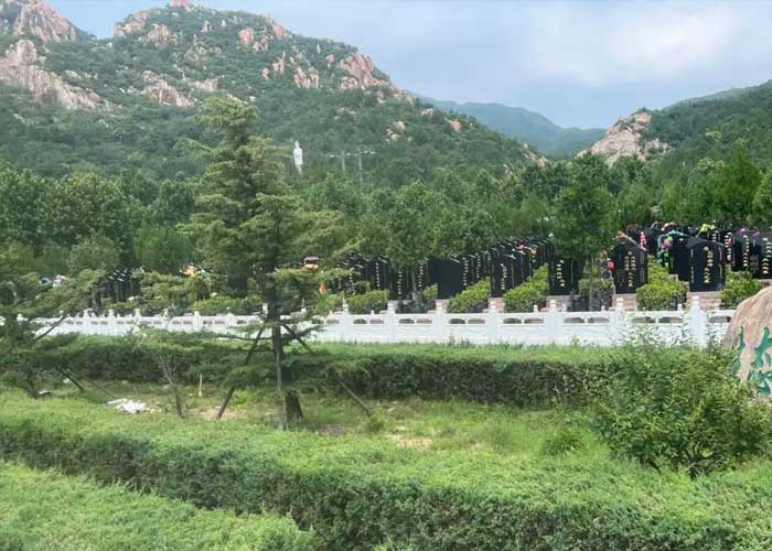 恭德陵园寿南山 恭德陵园寿南山
