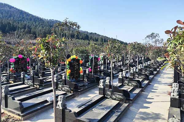 双峰山陵园碑型