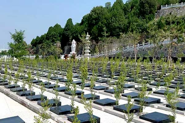 历城区青龙山公墓