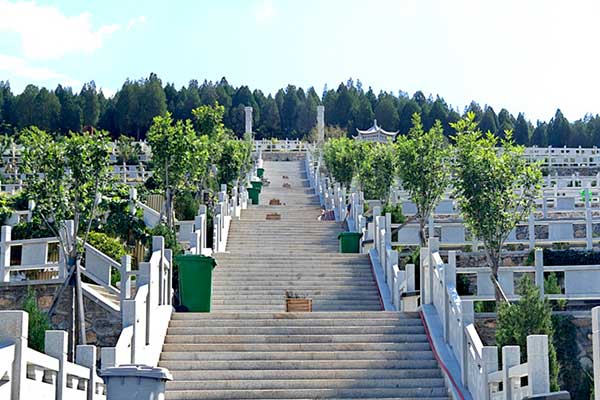 园区景观花坛