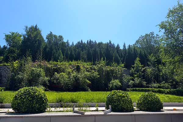 泰山长安人文纪念园 泰山长安人文纪念园