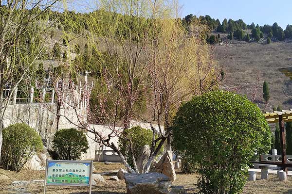 济南南部山区公墓 济南南部山区公墓