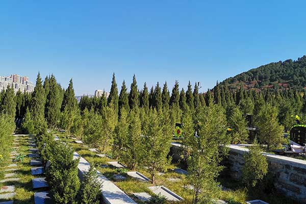 双峰山陵园葬式 双峰山陵园葬式