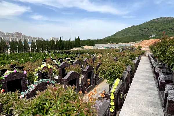 双峰山陵园祭扫 双峰山陵园祭扫