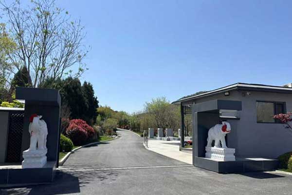 济南多子山陵园：树葬与草坪葬为何成为市民首选？深度解析生态葬优势
