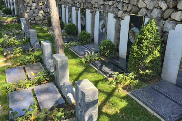 双峰山陵园日常维护 双峰山陵园日常维护