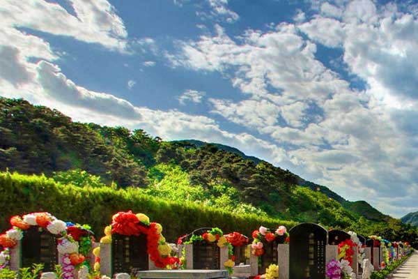 转山公墓优缺点
